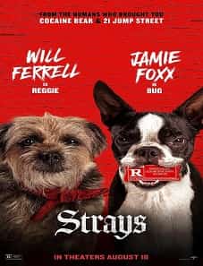 Strays 2023 Movie